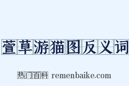 萱草游猫图反义词是什么意思的图片
